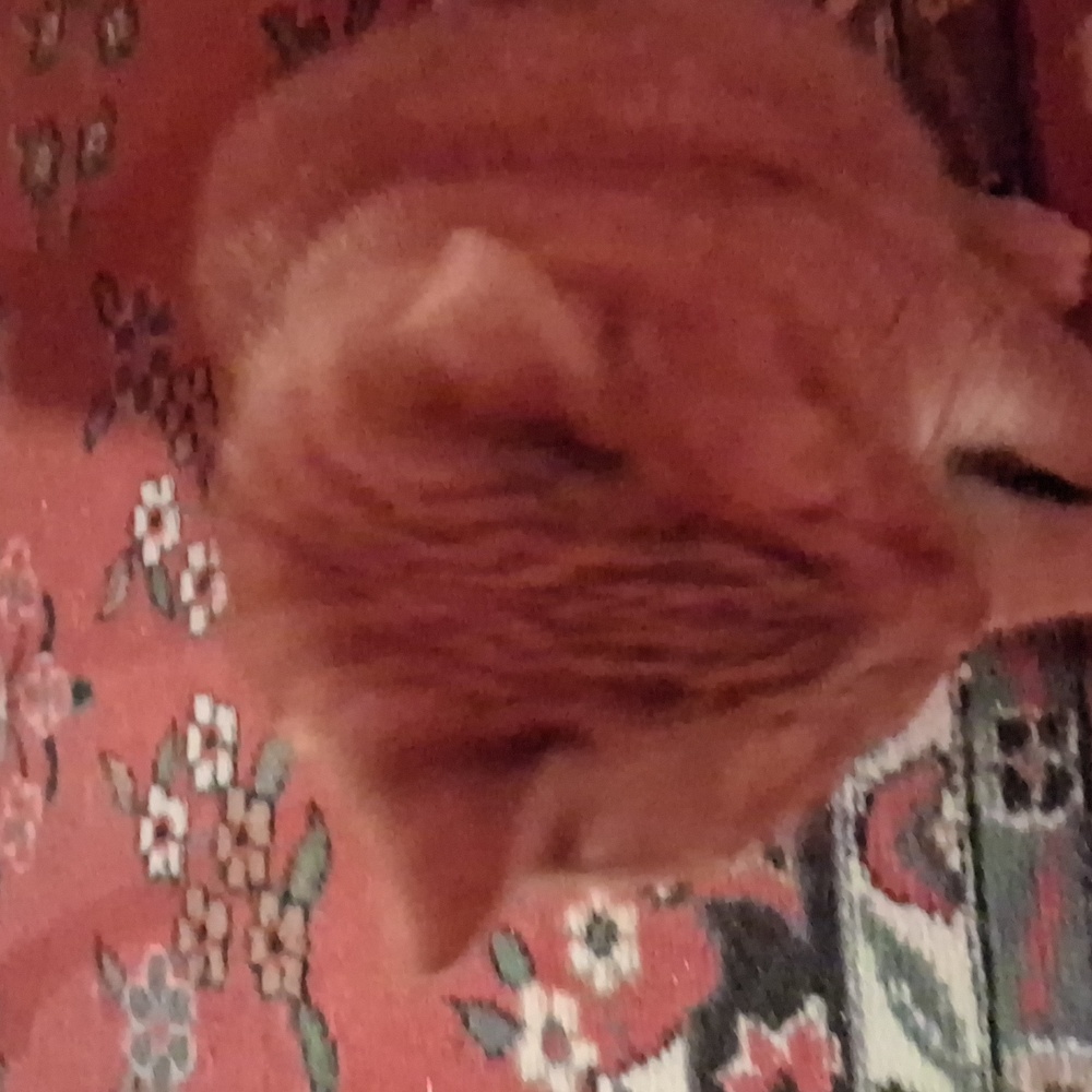 GINGER CAT!!! [Im Not Selling]